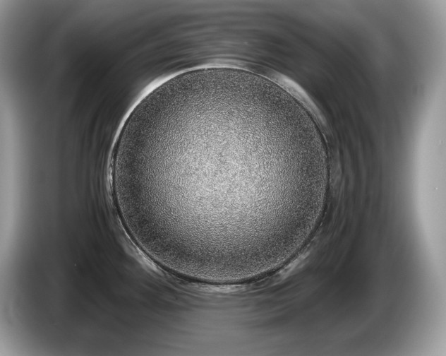X0000087561292200704271219