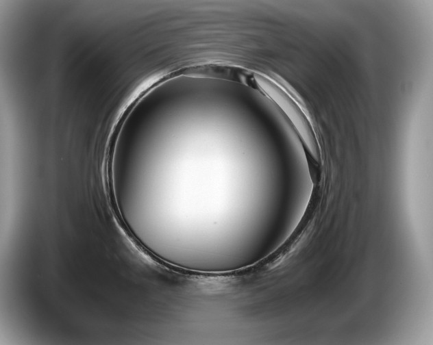 X0000087561293200704271219