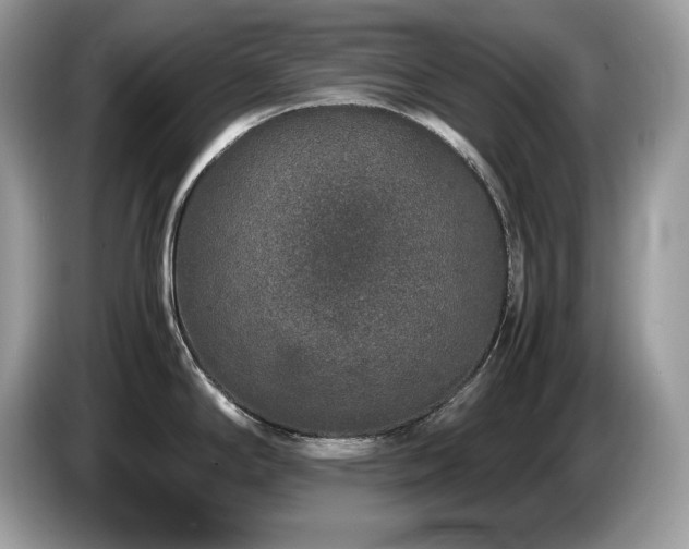 X0000087561294200704271219