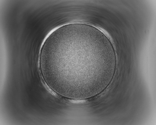X0000087561296200704271219