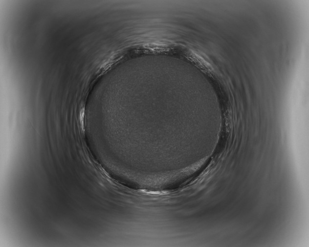 X0000087561298200704271219