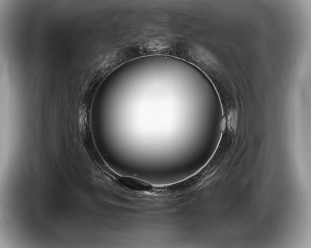 X0000087561299200704271219