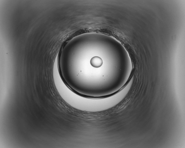 X0000087561300200704271219