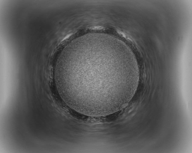 X0000087561301200704271219