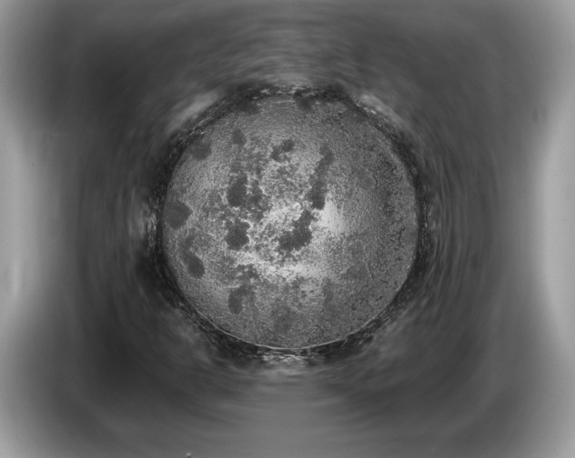 X0000087561302200704271219