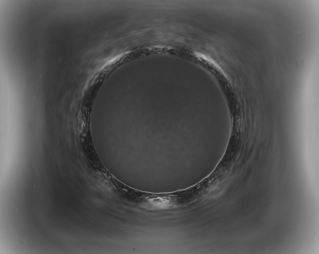 X0000087561303200704271219