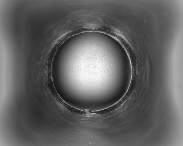 X0000087561304200704271219