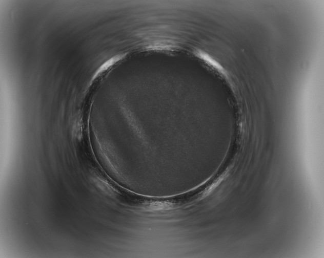 X0000087561306200704271219