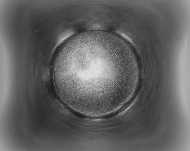 X0000087561309200704271219