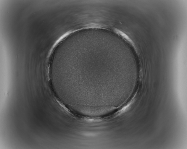 X0000087561310200704271219