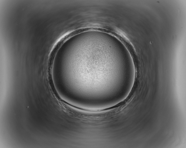X0000087561312200704271219
