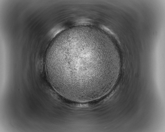 X0000087561313200704271219