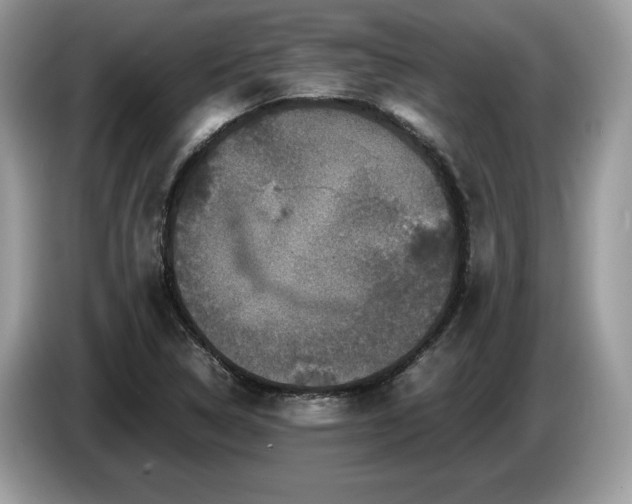 X0000087561314200704271219