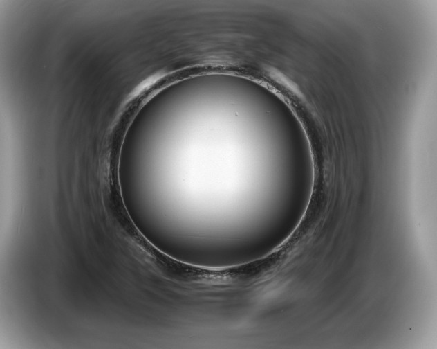 X0000087561315200704271219