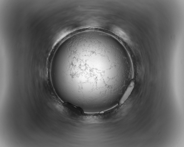 X0000087561316200704271219