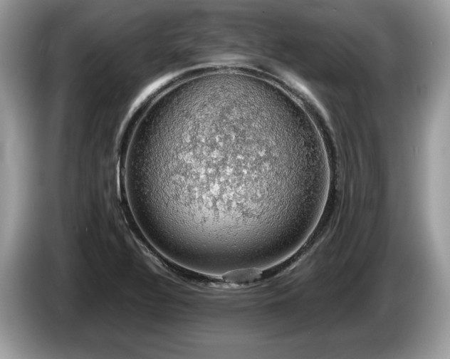 X0000087561320200704271219