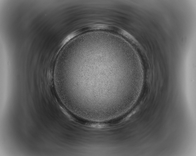 X0000087561321200704271219