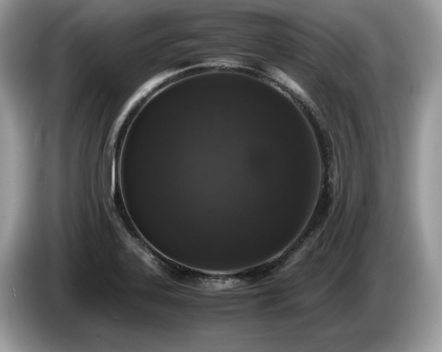 X0000087561323200704271219