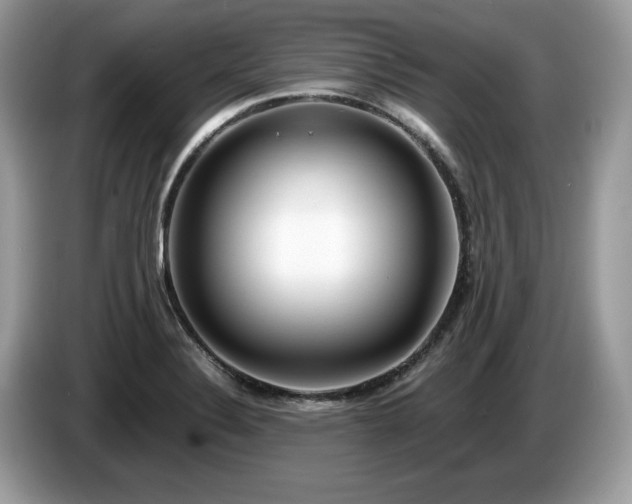 X0000087561324200704271219