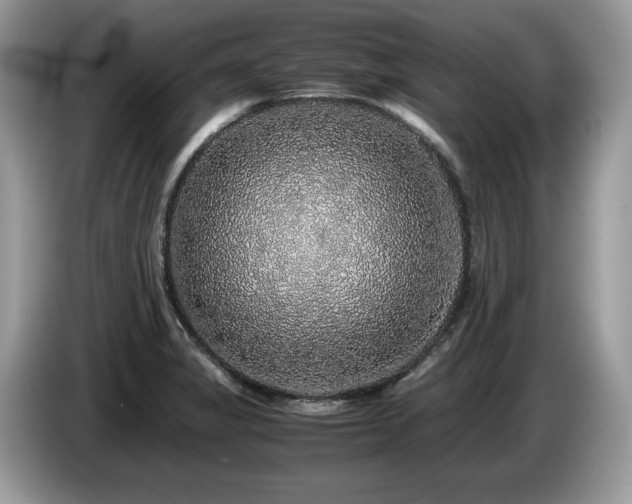 X0000087561325200704271219