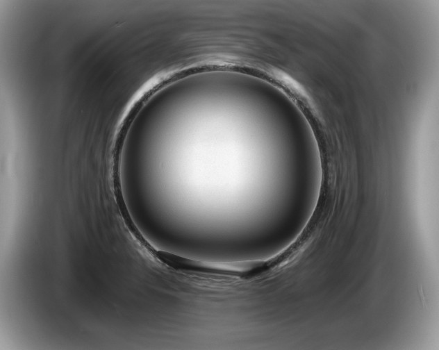 X0000087561326200704271219