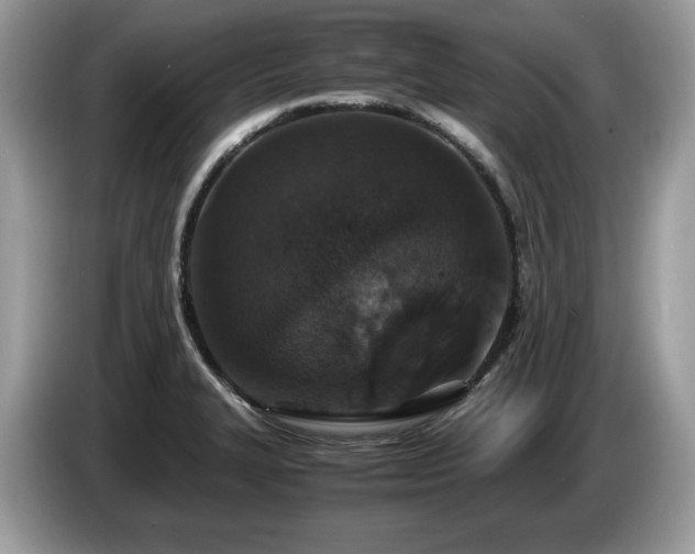 X0000087561327200704271219