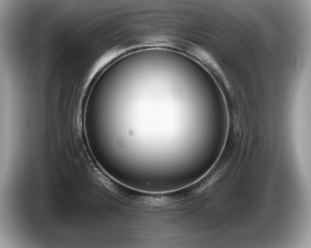 X0000087561328200704271219