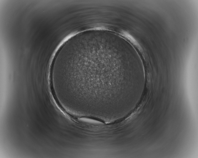 X0000087561331200704271219