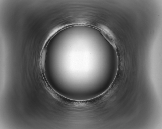 X0000087561332200704271219