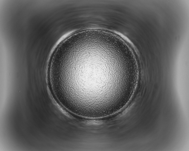 X0000087561333200704271219