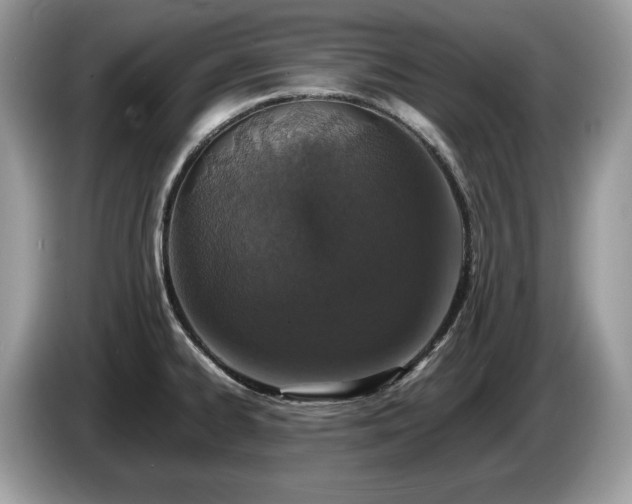 X0000087561334200704271219