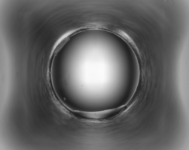 X0000087561336200704271219