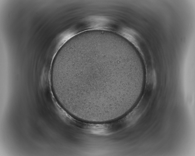 X0000087561338200704271219