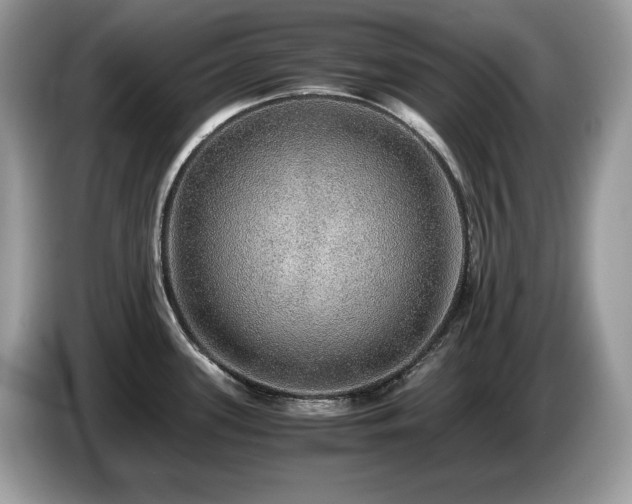 X0000087561339200704271219