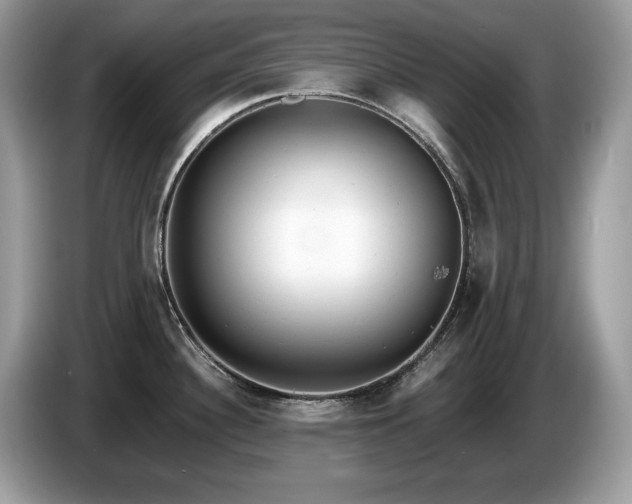 X0000087561340200704271219