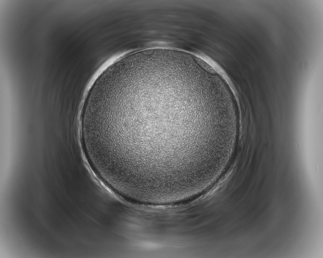 X0000087561341200704271219