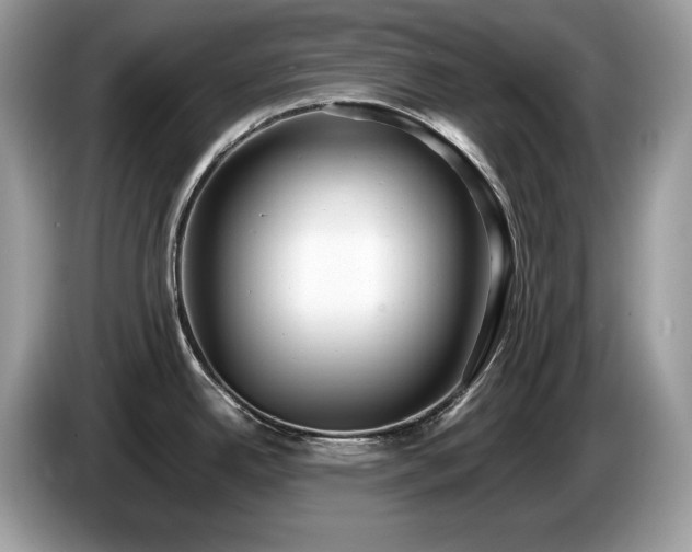 X0000087561342200704271219