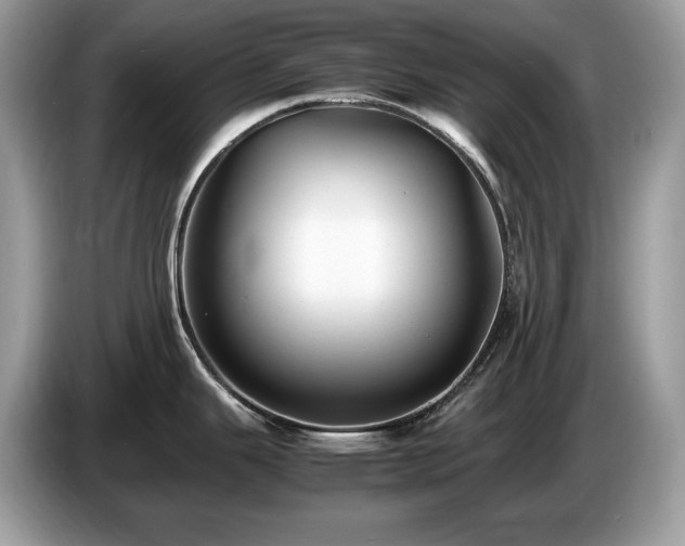 X0000087561343200704271219