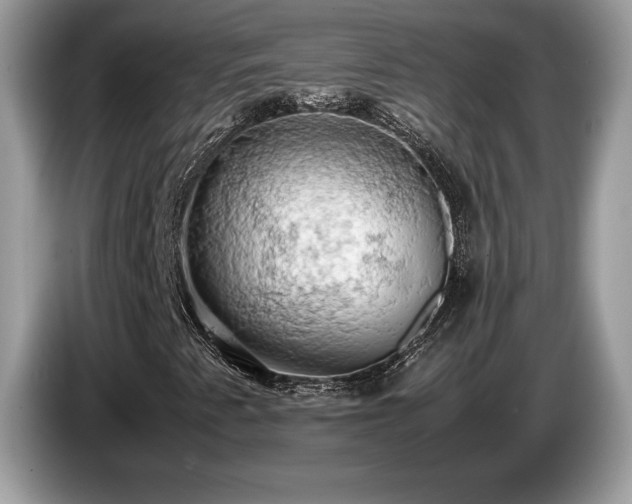 X0000087561345200704271219