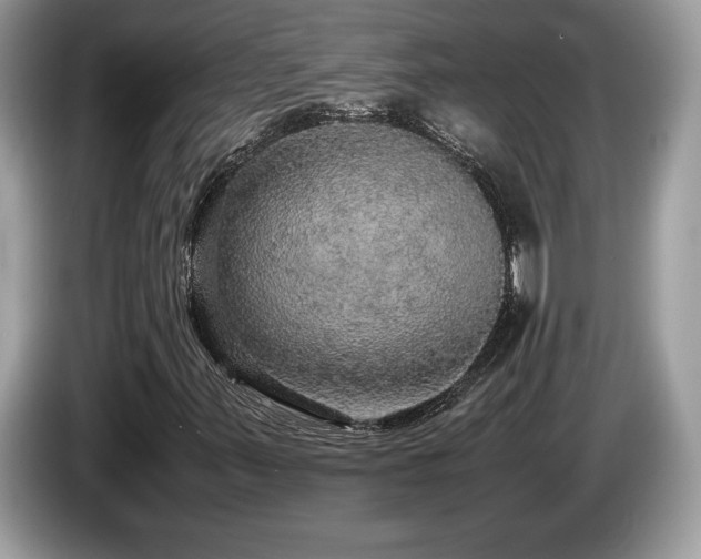 X0000087561347200704271219