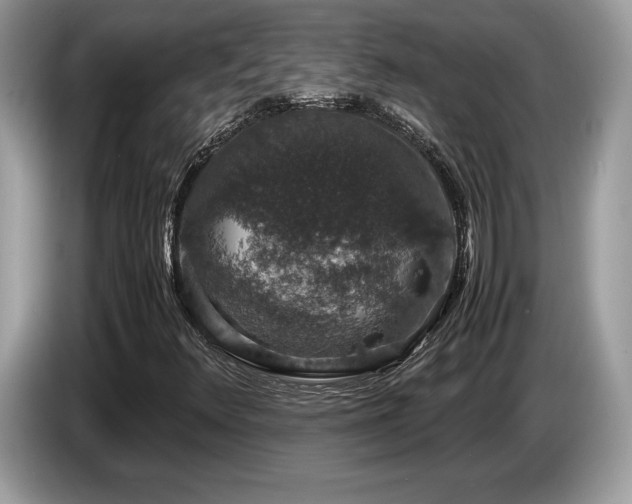 X0000087561348200704271219