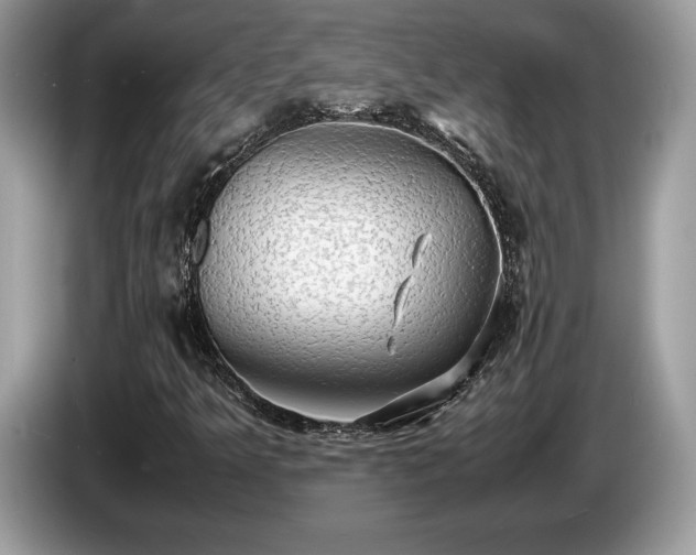 X0000087561349200704271219