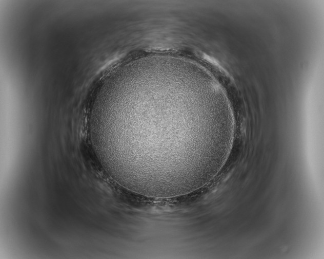 X0000087561350200704271219