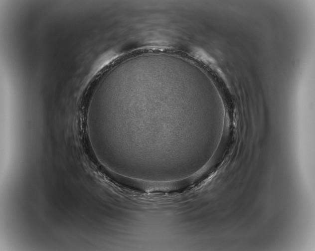 X0000087561352200704271219
