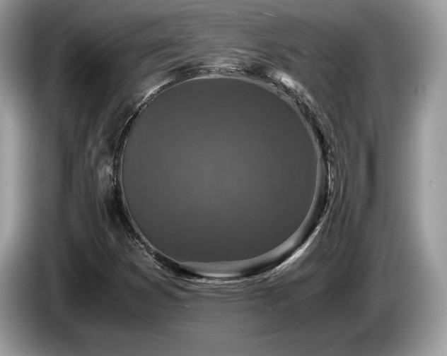 X0000087561353200704271219