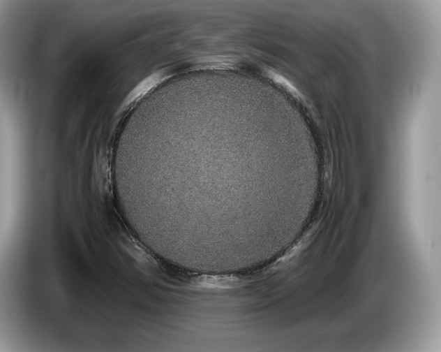 X0000087561354200704271219