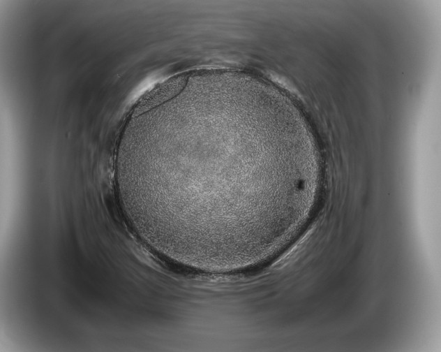 X0000087561355200704271219