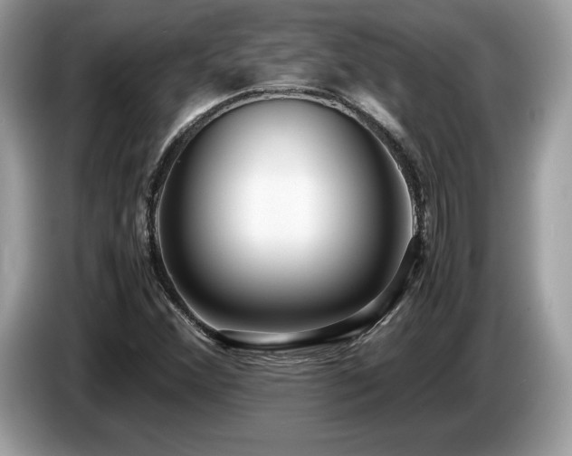X0000087561356200704271219