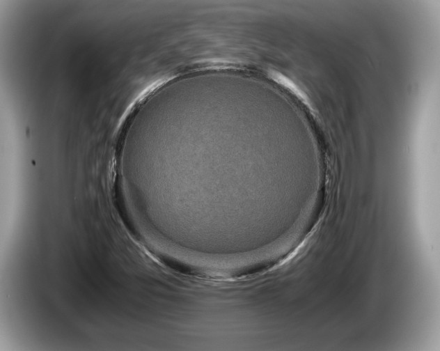 X0000087561357200704271219