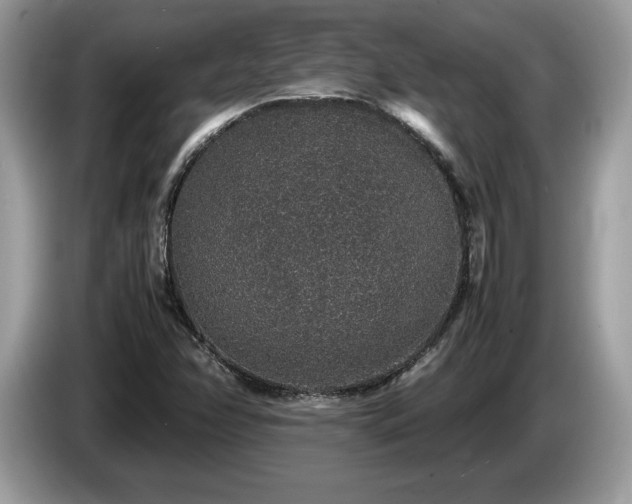 X0000087561358200704271219